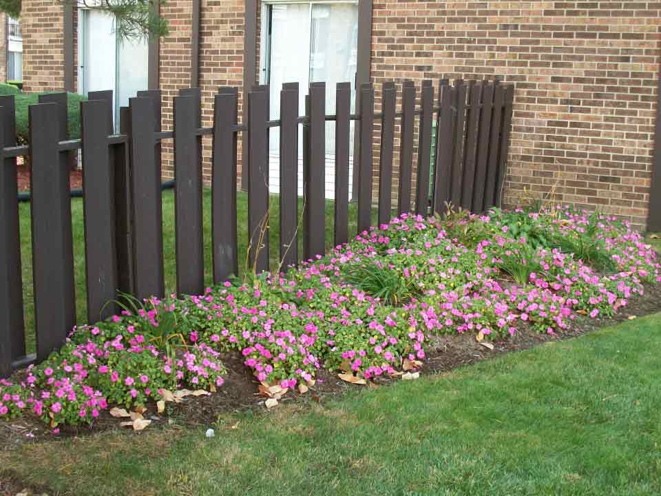 Plants and Flowers - Affordable Rental Apartments in Elgin, IL