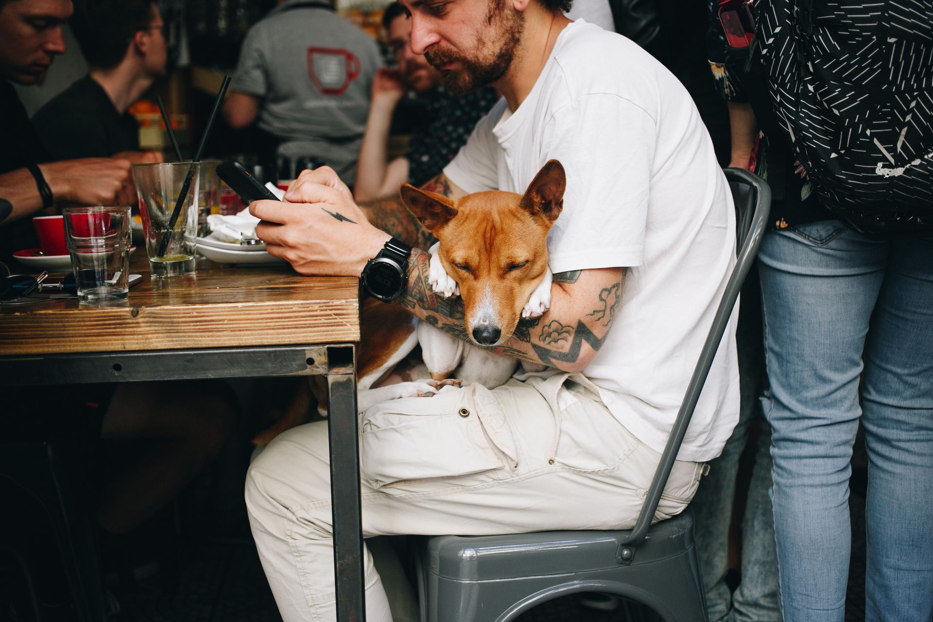 A man sat in a bar with friends, with his dog resting on his lap