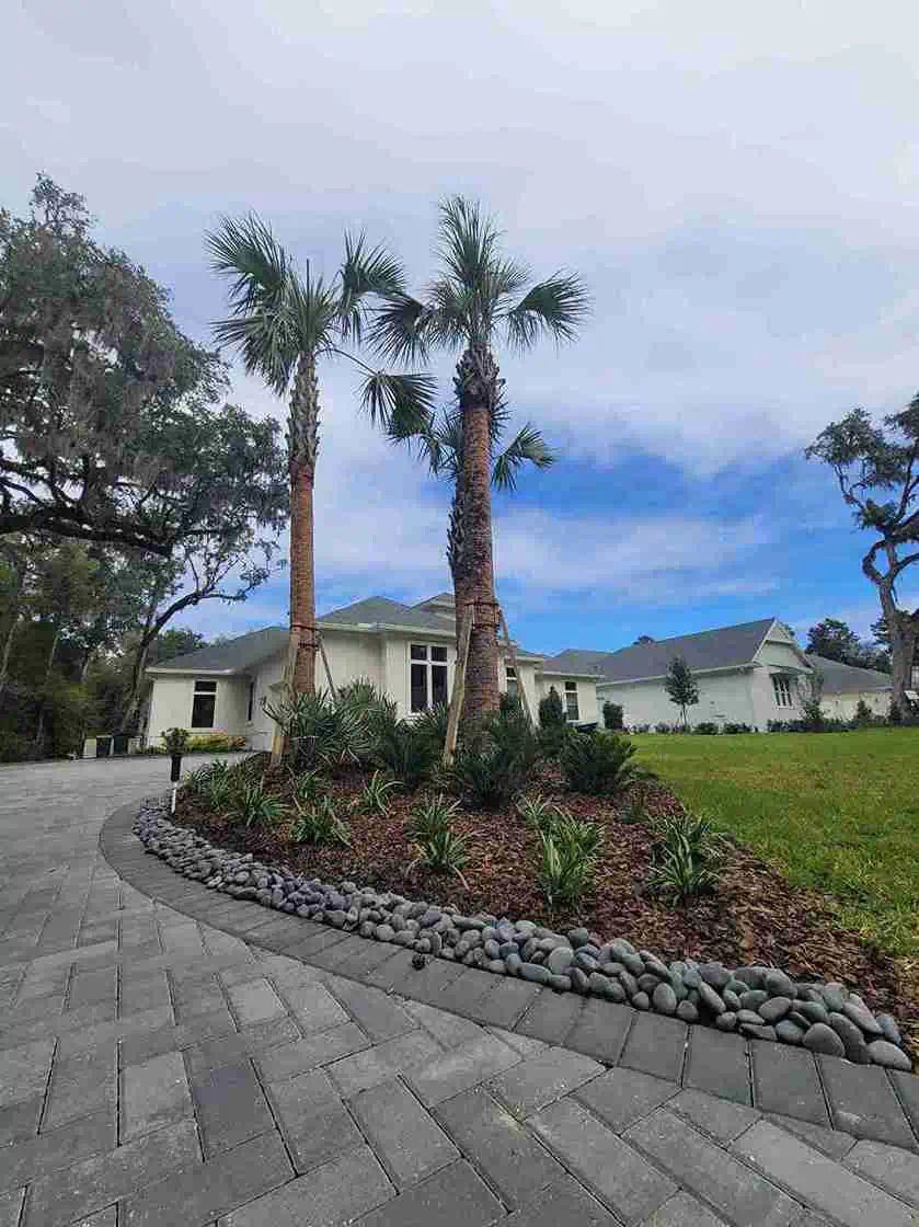 Big Trees — Jacksonville, FL — A.C.E. Outdoor Designs