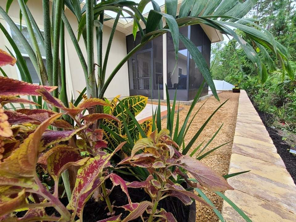 A house with a lot of plants in front of it