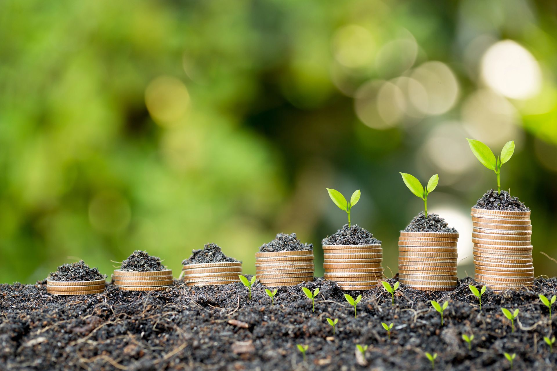 Sette pile di monete d'oro di altezza crescente, ciascuna sormontata da una piccola pianta verde, immerse nel terreno su uno sfondo sfocato.