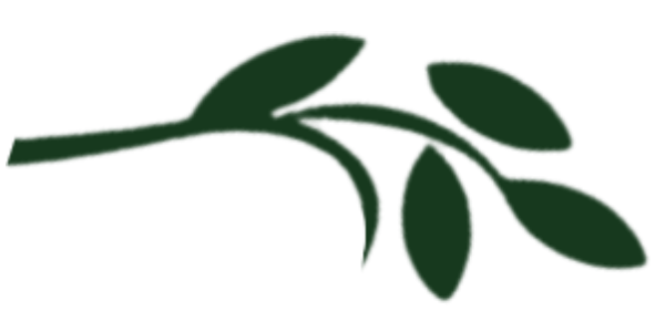 &Iacute;cone Separador