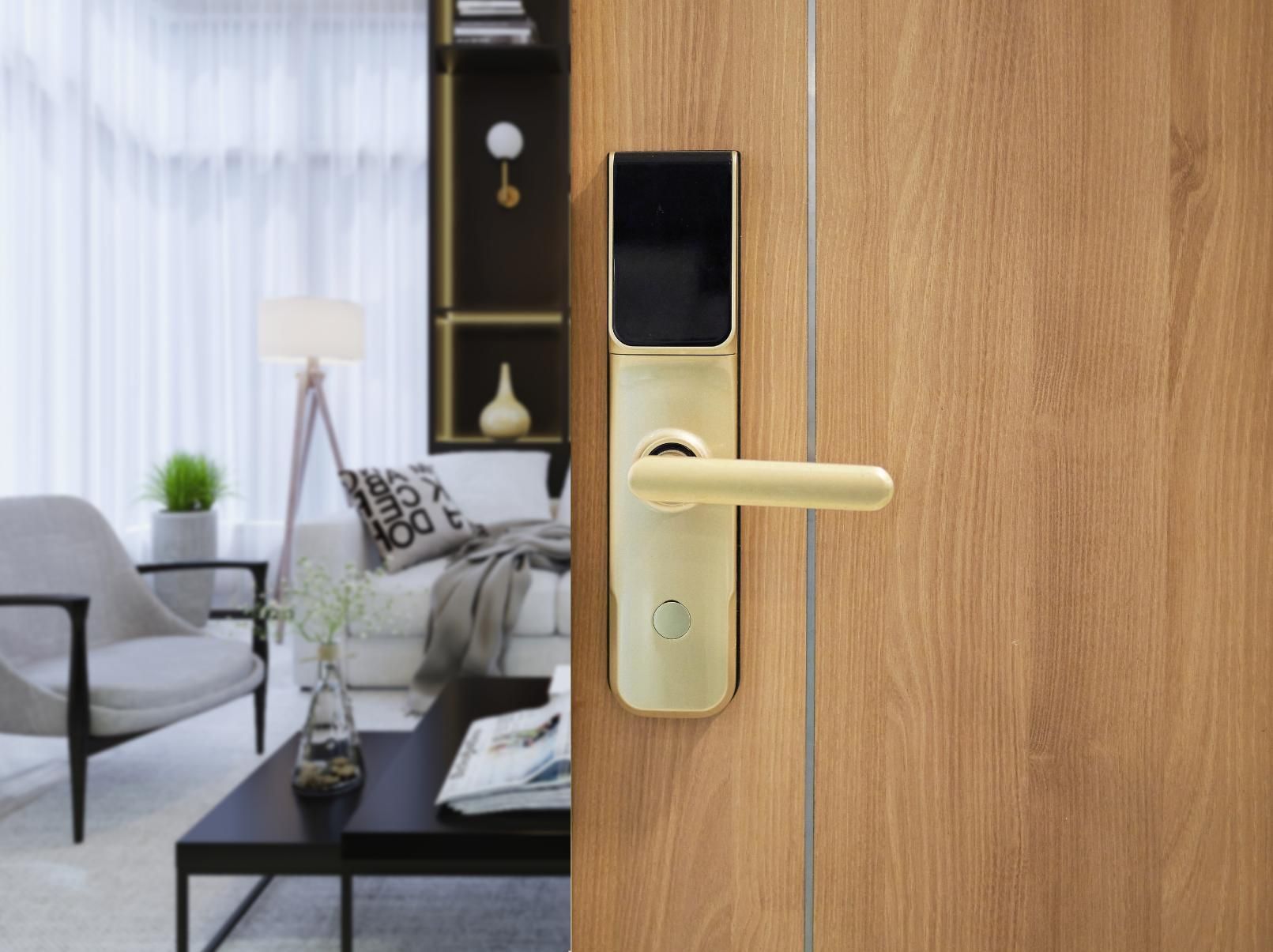 a Smart Door Lock is Sitting on a Wooden Door in a Living Room — Armstrong Locksmiths Ballarat in Ballarat East, VIC