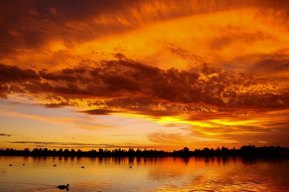 a Sunset Over a Lake With a Duck in the Water — Armstrong Locksmiths Ballarat in Ballarat East, VIC
