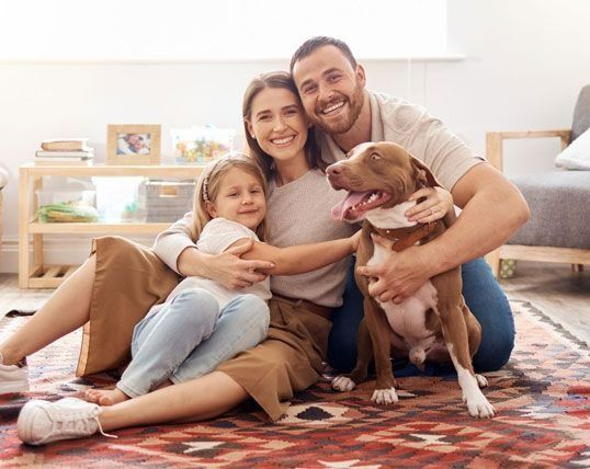 Air Quality & Ductwork Services