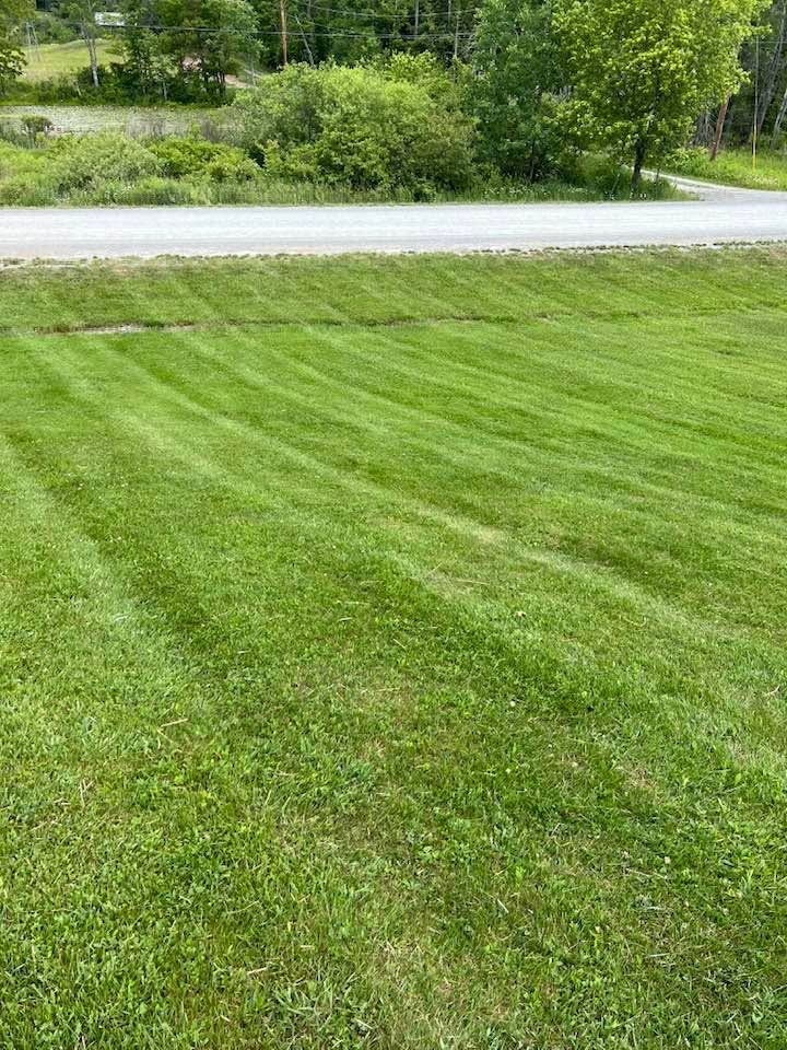 Green lawn with diagonal mowing lines beside a road and trees in the background