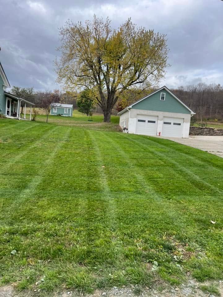 Grassy suburban yard with a large tree and a detached two-car garage under cloudy skies