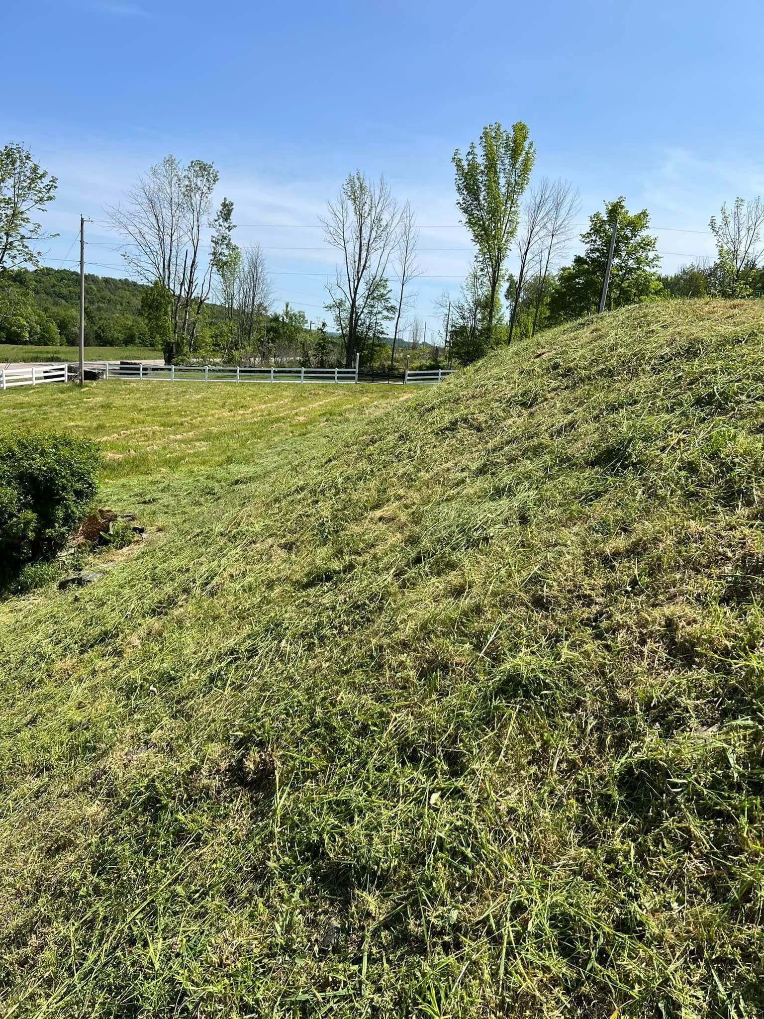 Grassy field with a large green mound and a line of trees under a clear blue sky