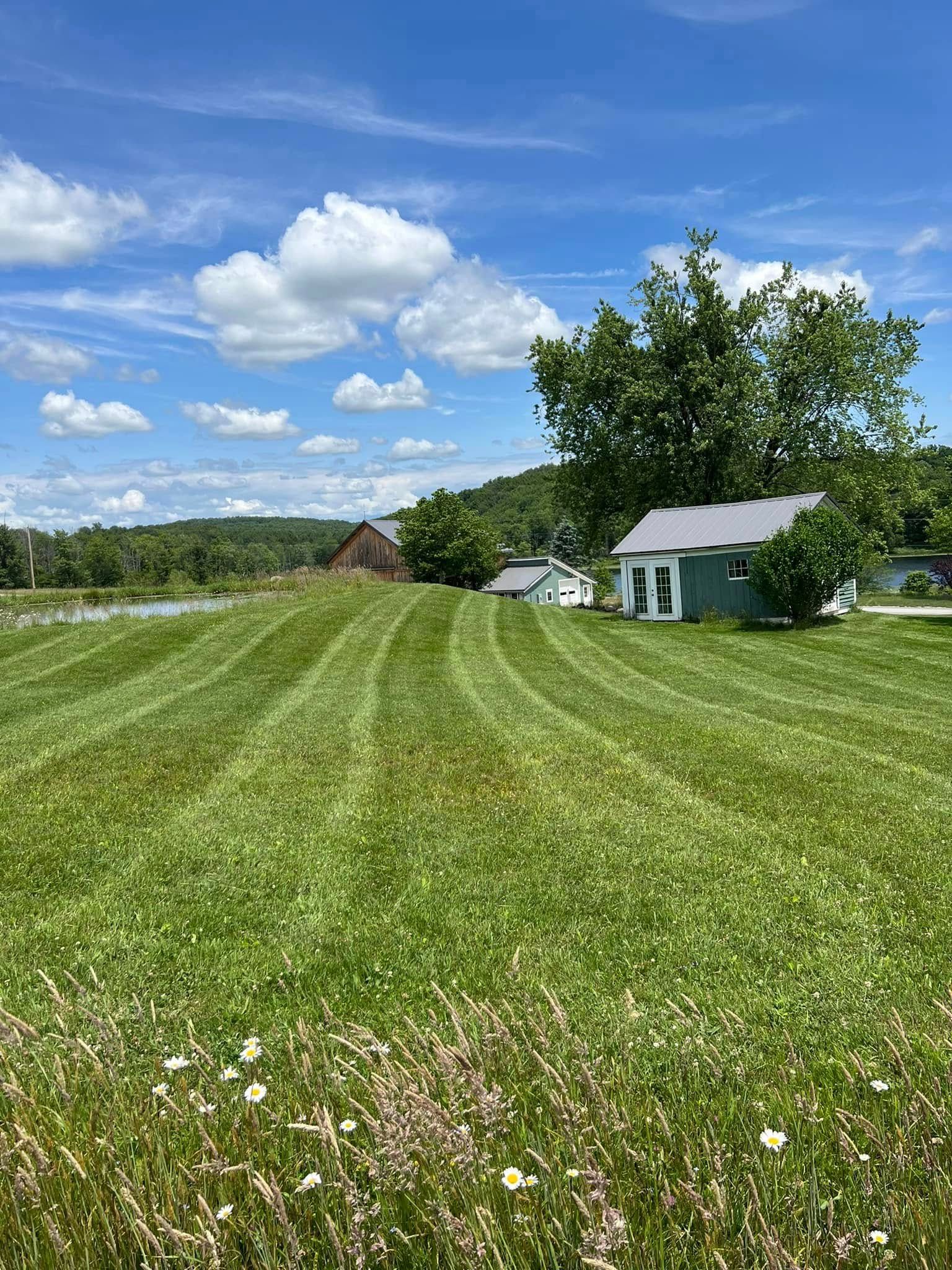 Mown green field under blue sky with clouds, small white house, barn, and trees in the distance