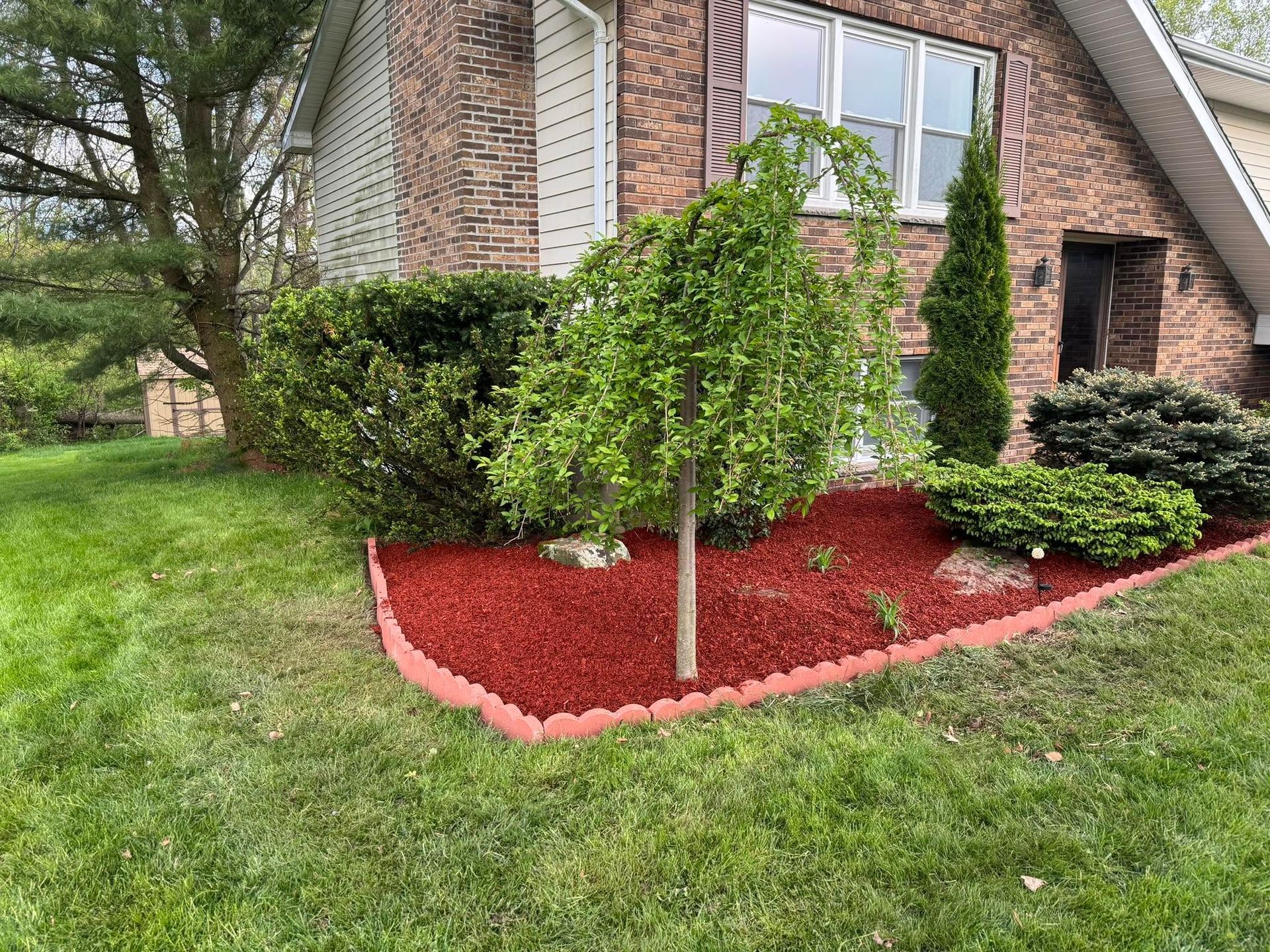 House corner with fresh red mulch, trimmed shrubs, and a small tree in a grassy yard