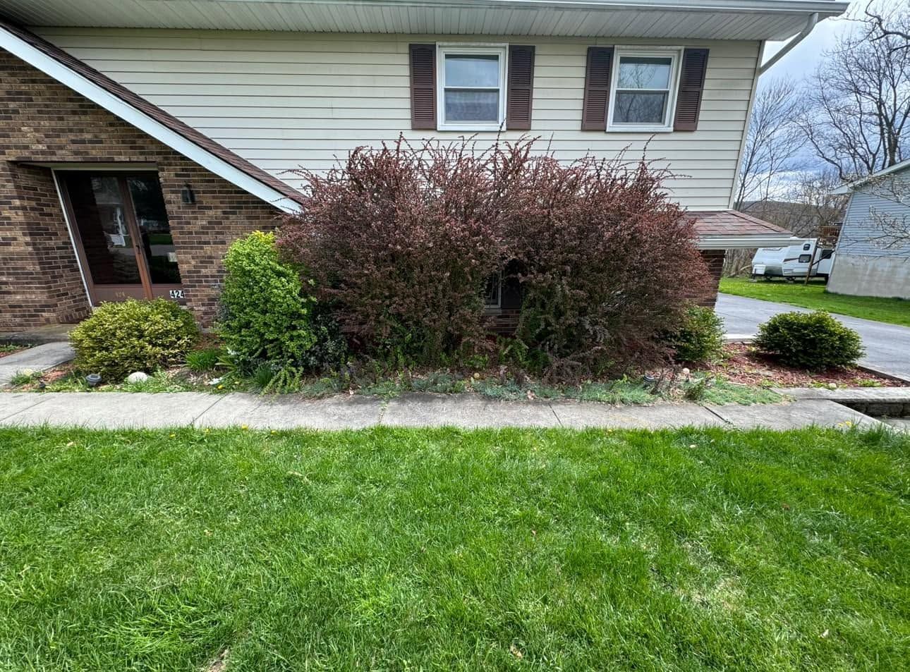 Front yard with green lawn, shrubs, and a beige suburban house with a brick entryway