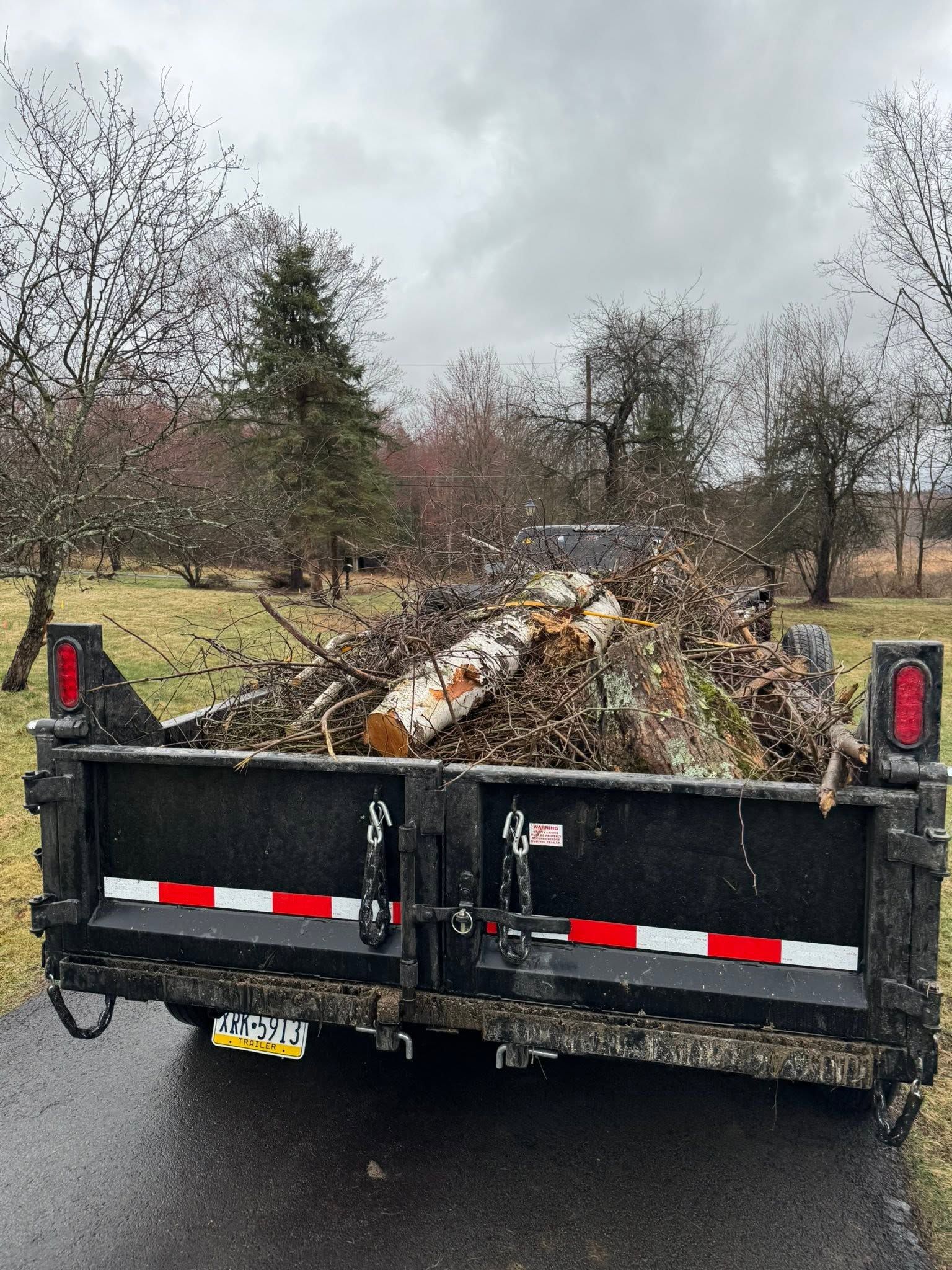 Black utility trailer loaded with branches and yard debris on a wet rural road