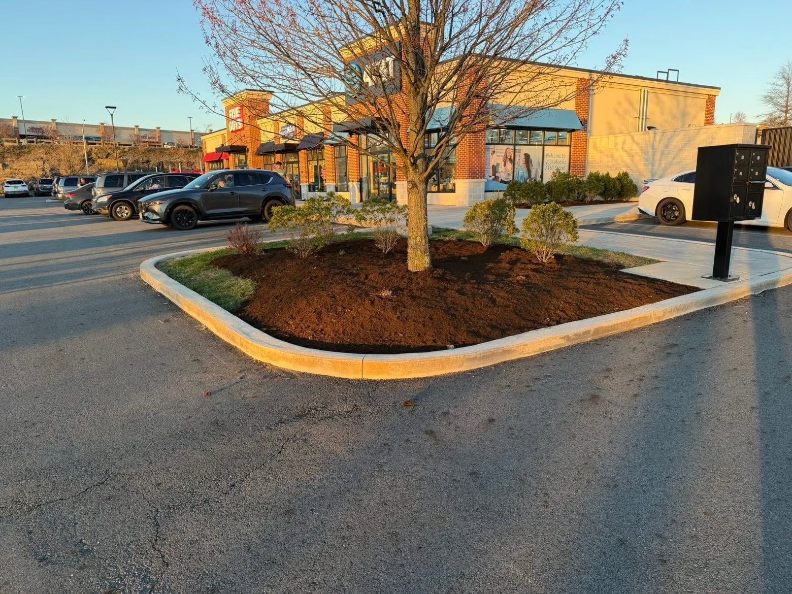 Parking lot with landscaped median, leafless tree, parked cars, and a building in warm sunlight