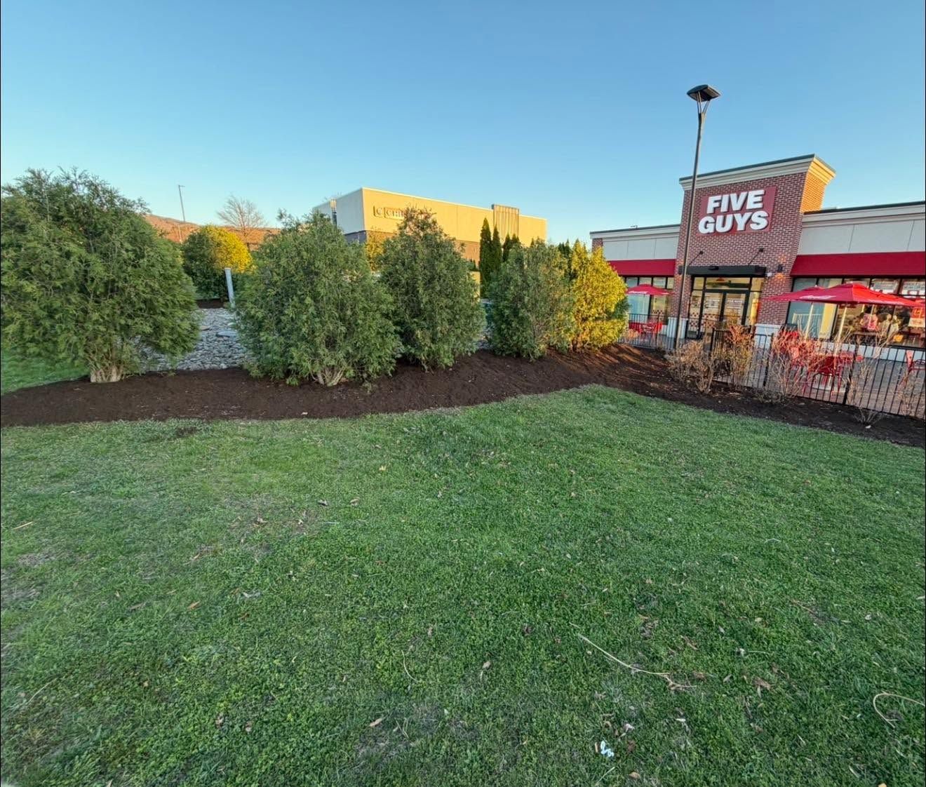 Grassy lawn with shrubs in front of a Five Guys restaurant at sunset