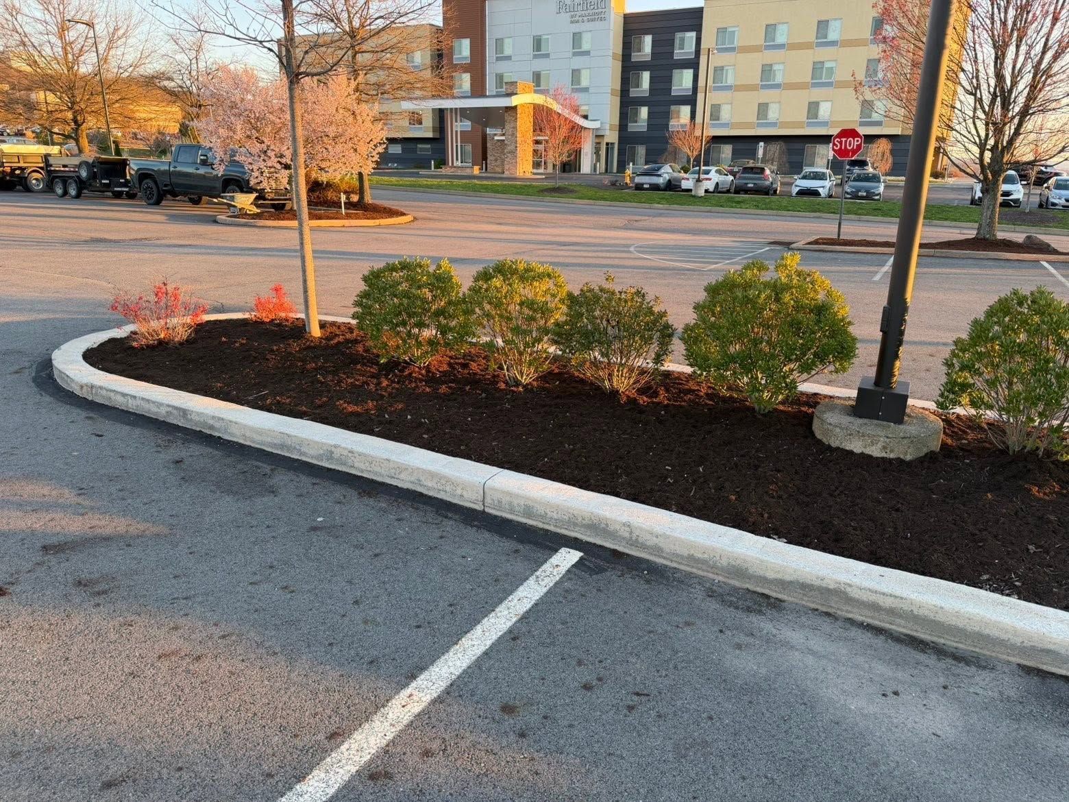 Curved landscaped parking island with shrubs and young trees beside an apartment building
