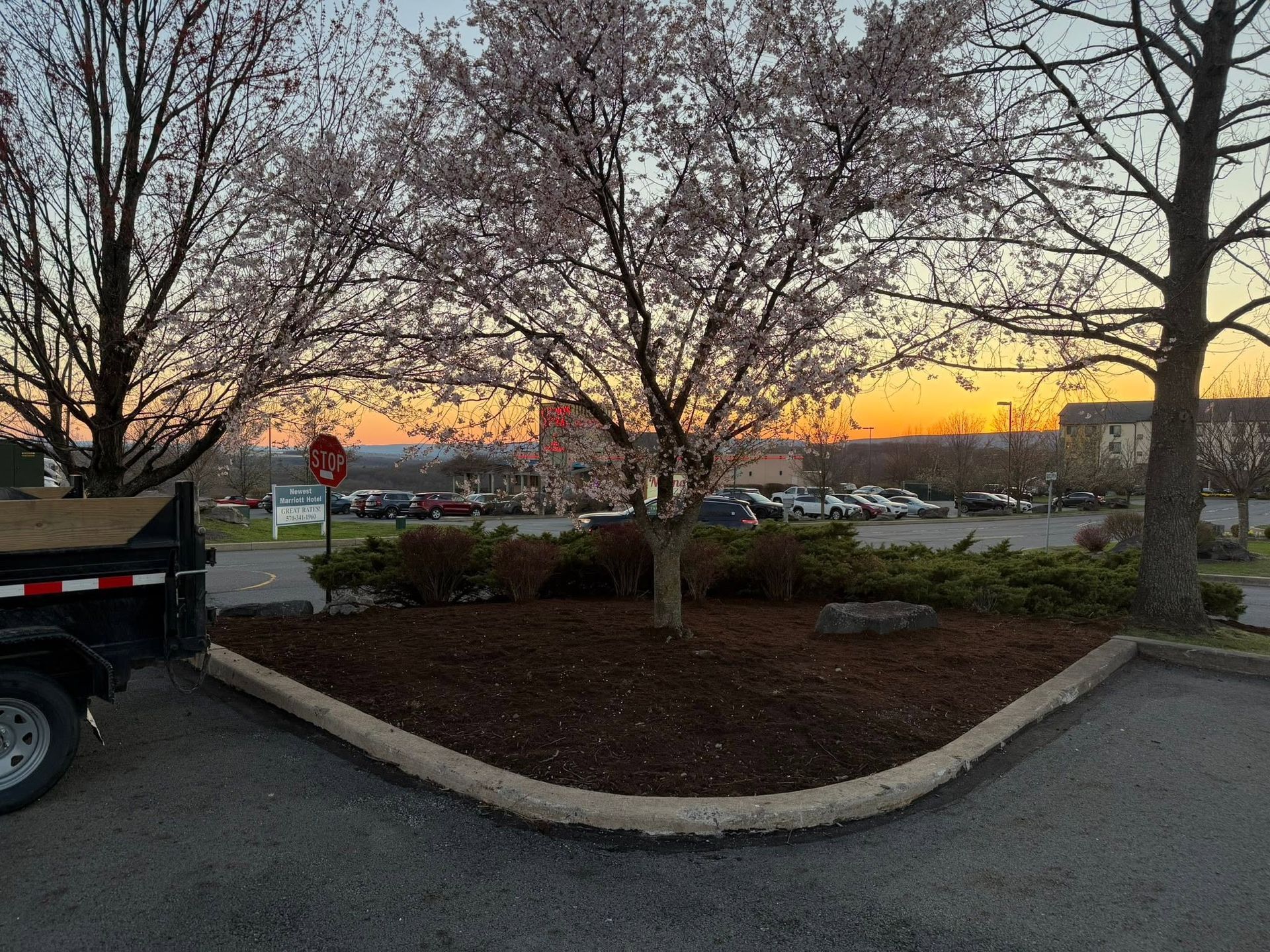 Parking lot at sunset with bare trees, a landscaped island, and a truck partially visible on the left.