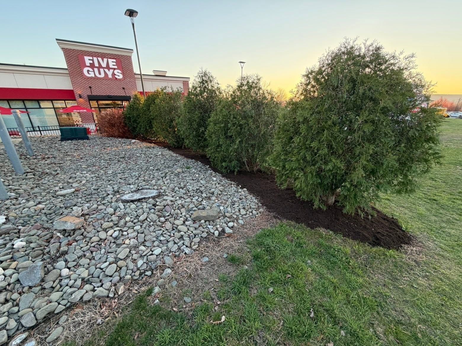 Five Guys sign beside landscaped rocks, shrubs, and grass at sunset