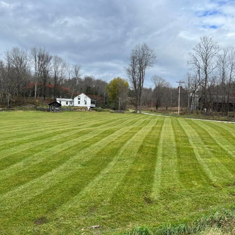 Freshly mowed green field with striped grass, a white house, and leafless trees under a cloudy sky