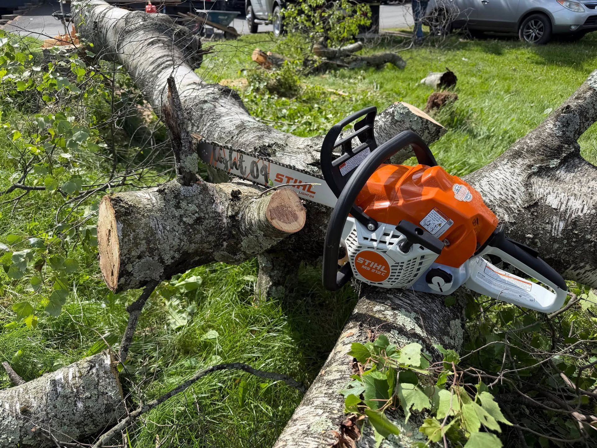 Orange chainsaw resting on a freshly cut fallen tree in a grassy yard.
