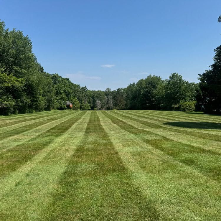 Sunlit lawn with striped mowing patterns, bordered by trees under a clear blue sky