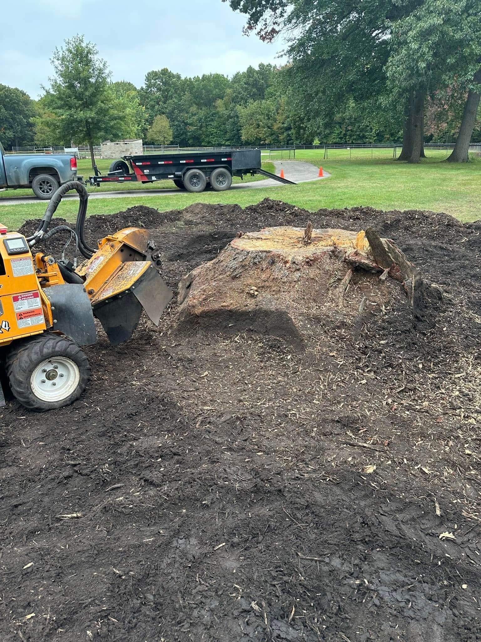 A stump grinder is being used to remove a tree stump in a park.