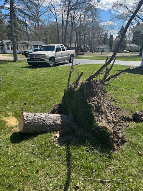 A stump grinder is being used to remove a tree stump in a park.
