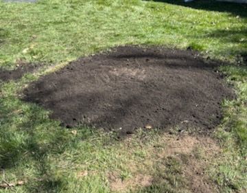 A truck is parked in a dirt field next to a pile of dirt.