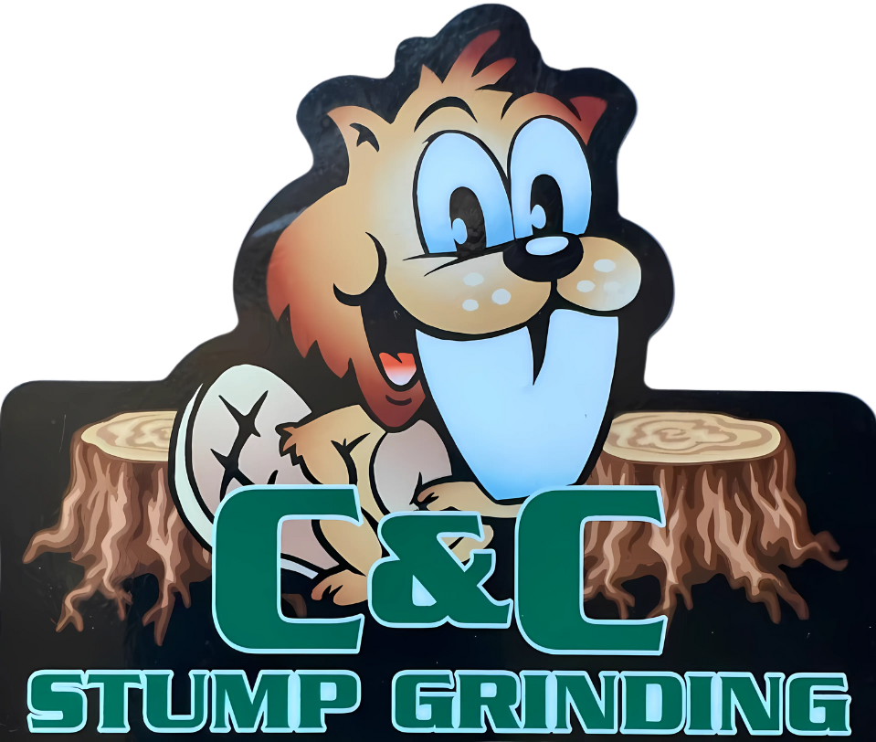 A logo for c & c stump grinding with a beaver on a tree stump