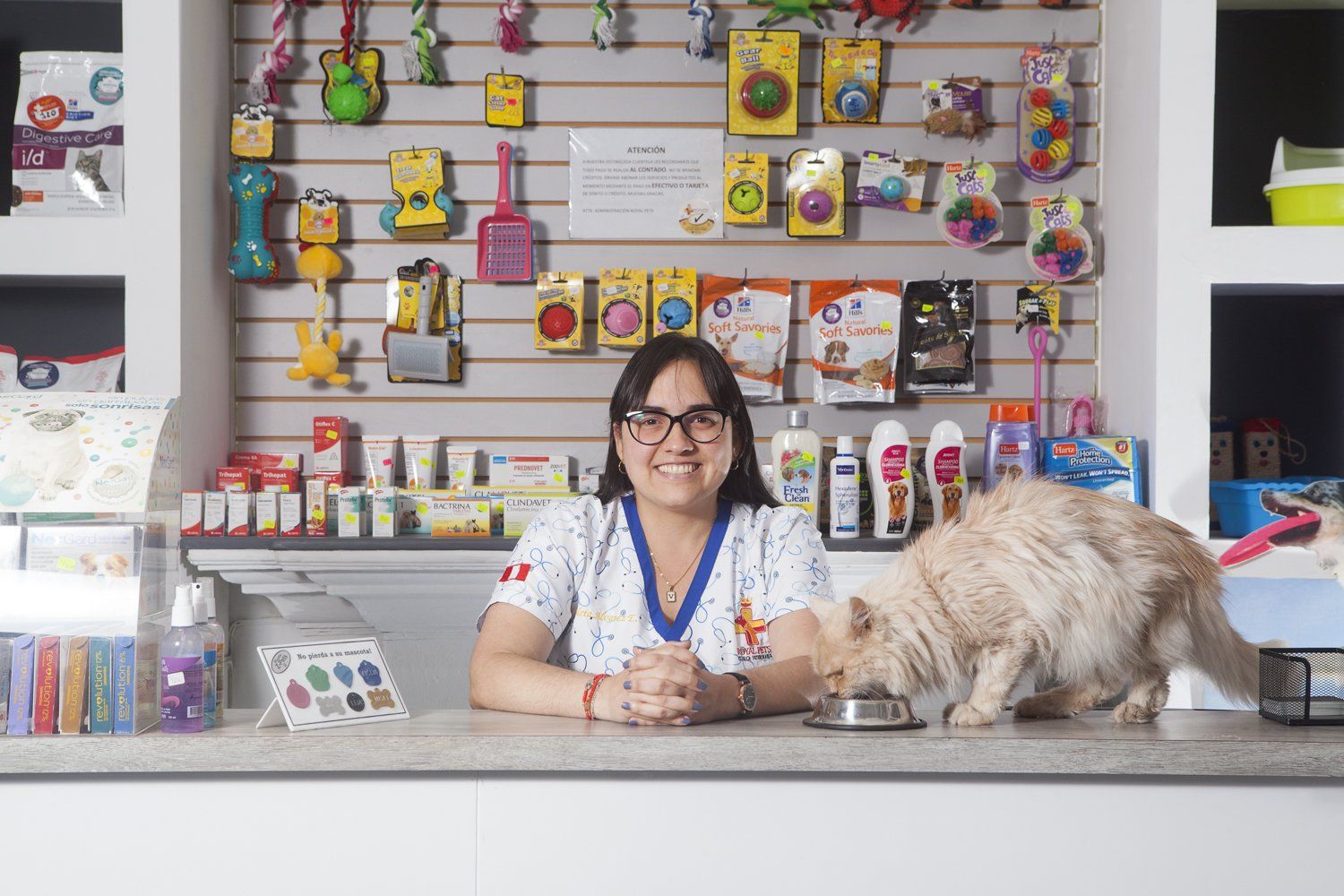 clínica veterinaria más prestigiosa en el distrito de Lince