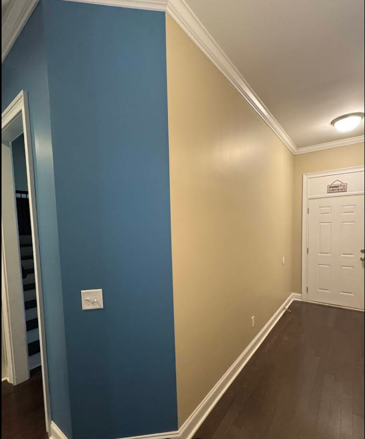 Hallway with blue and tan walls, white trim and door, and dark wood flooring.