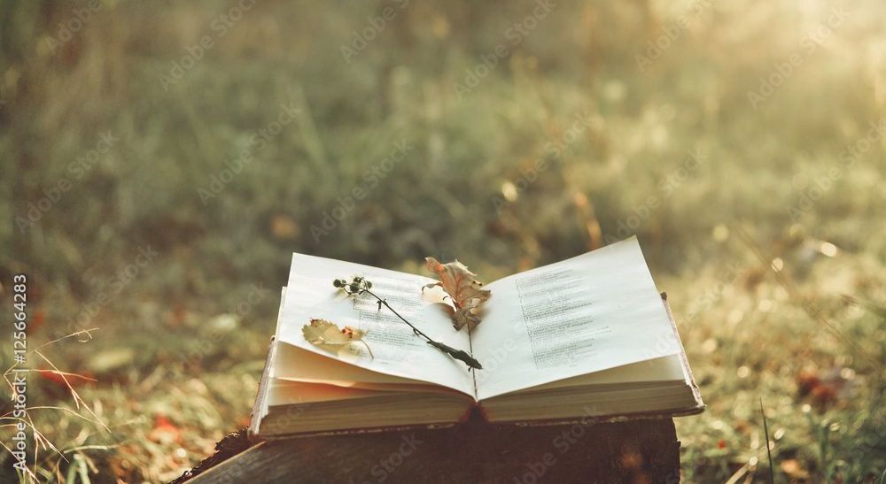 A book is sitting on top of a wooden table in the grass.