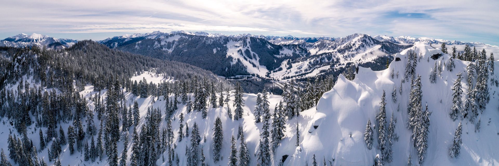 An aerial view of a snowy mountain covered in trees.