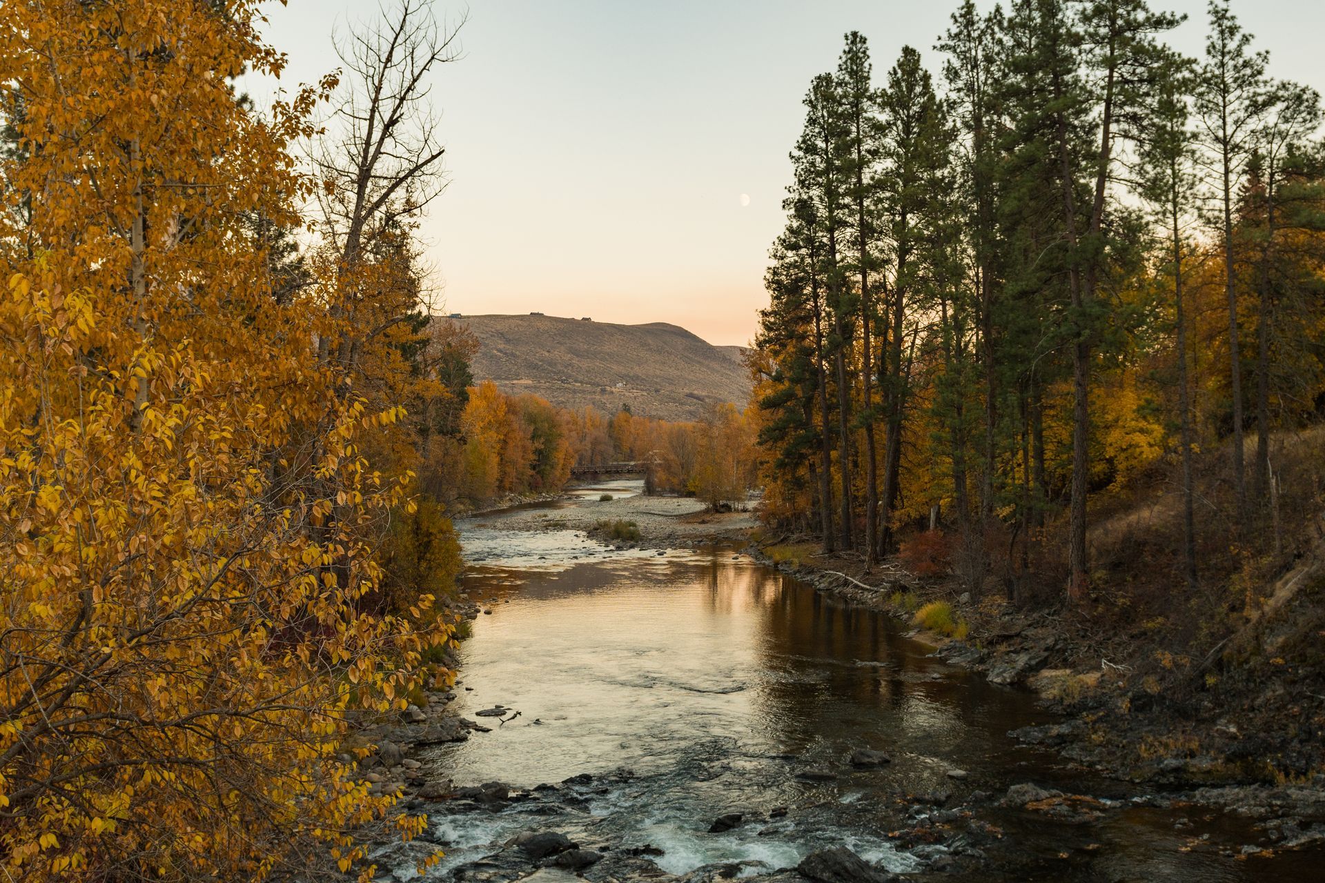 River flowing through a forest with autumn foliage and trees. Dusk setting with a distant mountain.