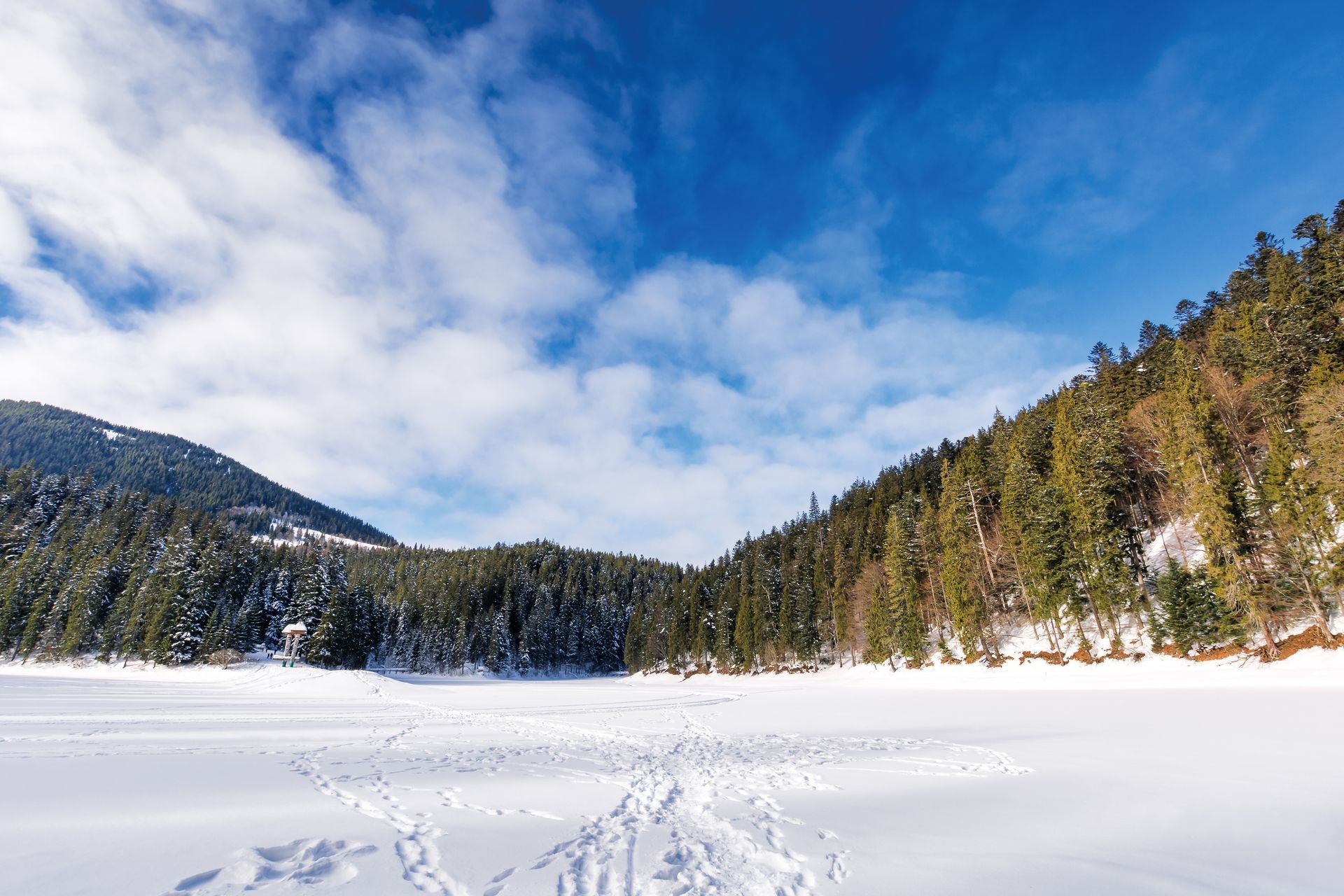 Snow-covered lake surrounded by evergreen forests, under a blue sky with white clouds.