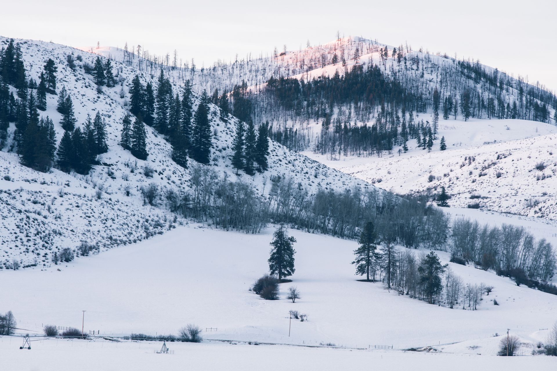 Snow-covered mountain landscape with evergreen trees and a hint of sunlight.