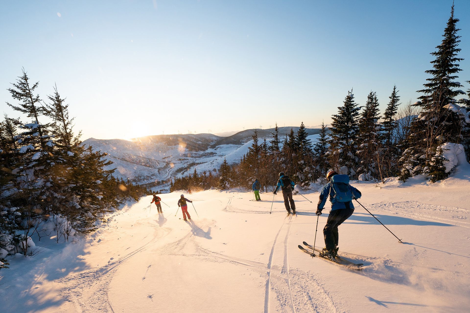 People skiing down a snow-covered mountain slope at sunset. Several skiers are visible amongst trees and the setting sun.