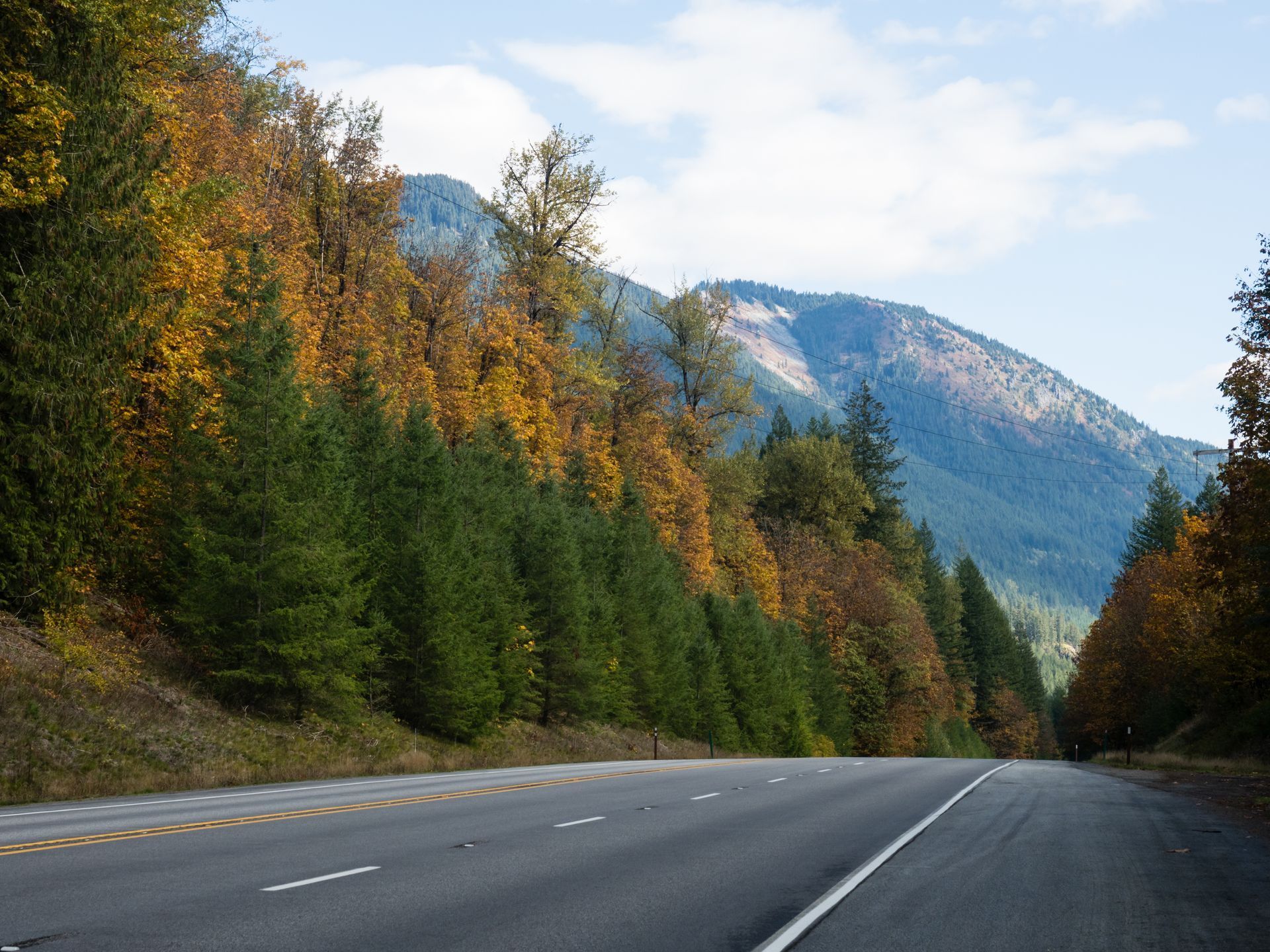 A highway going through a forest with mountains in the background