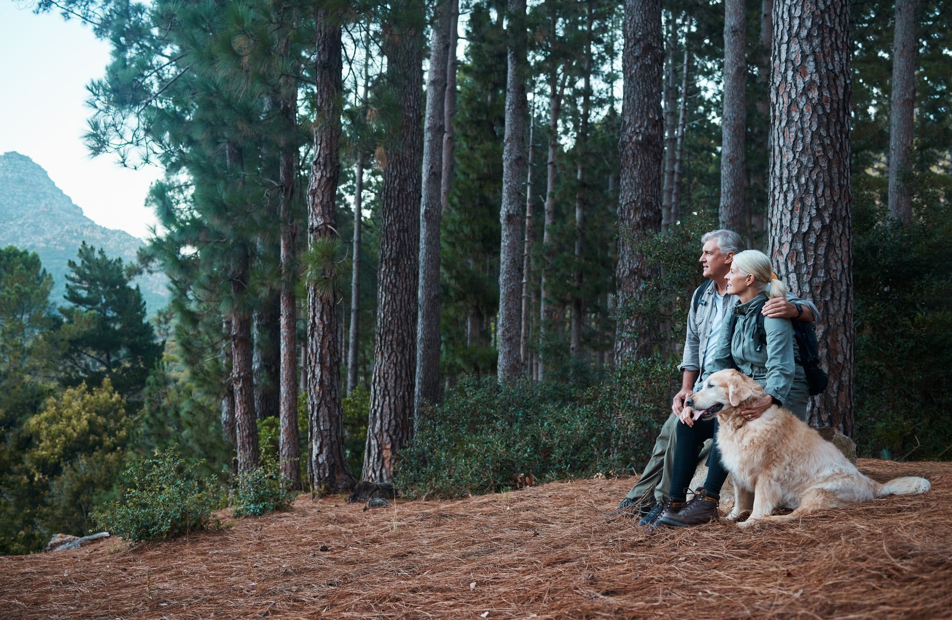 Two hikers with a golden retriever sit on a forest overlook by tall pine trees.