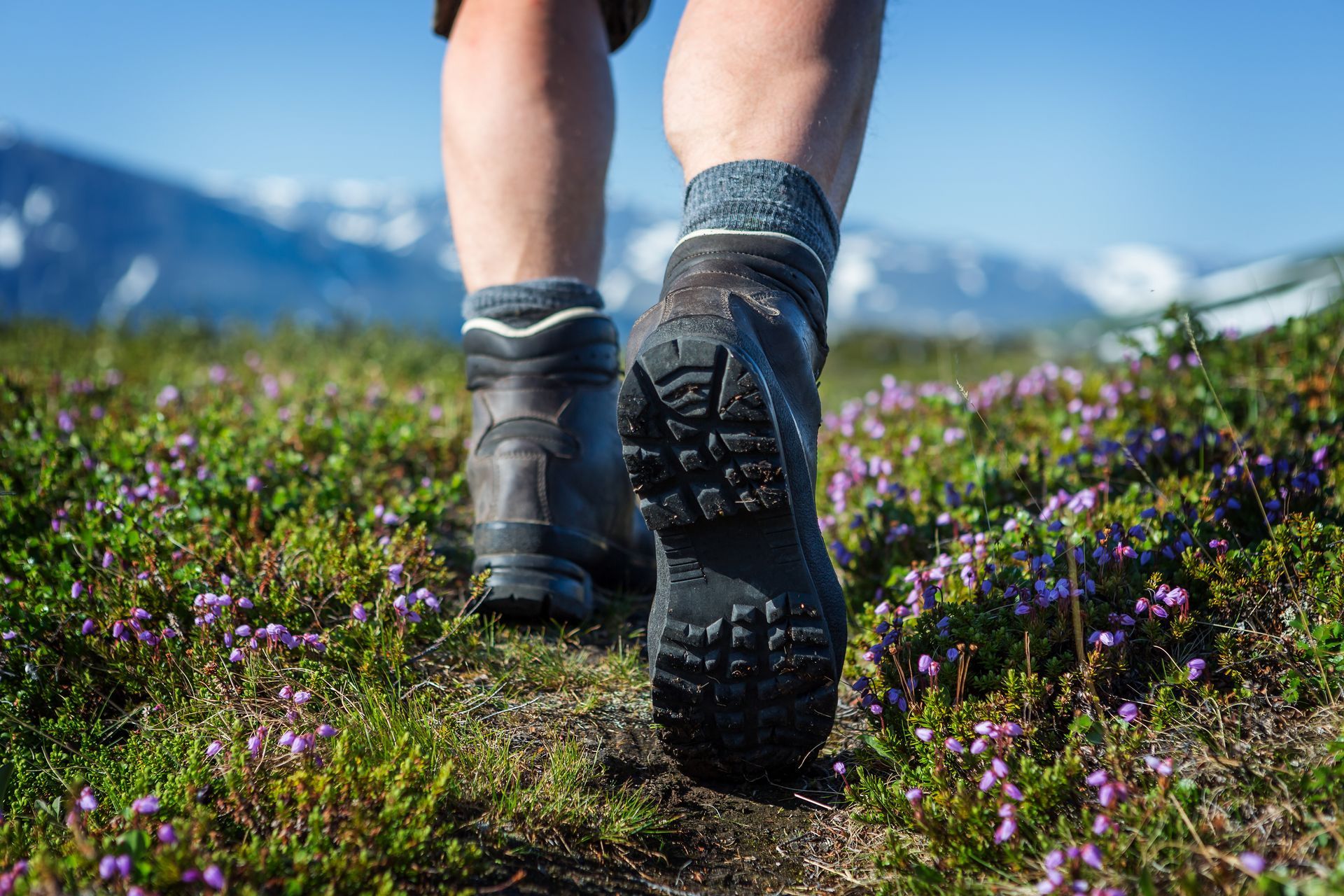 A person wearing hiking boots is walking through a field of flowers.