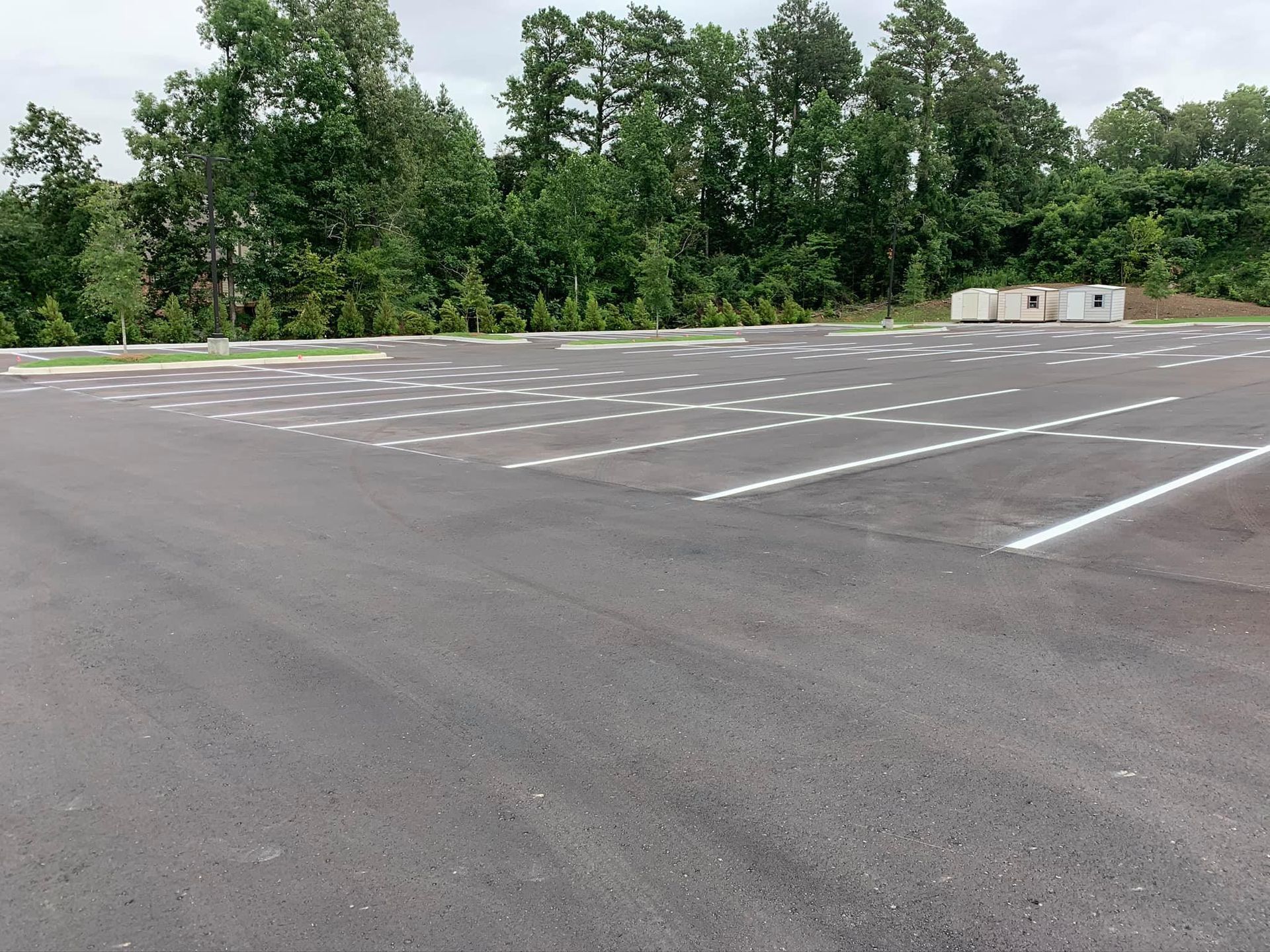 A large, empty asphalt parking lot with white-painted lines, bordered by a dense line of green trees.