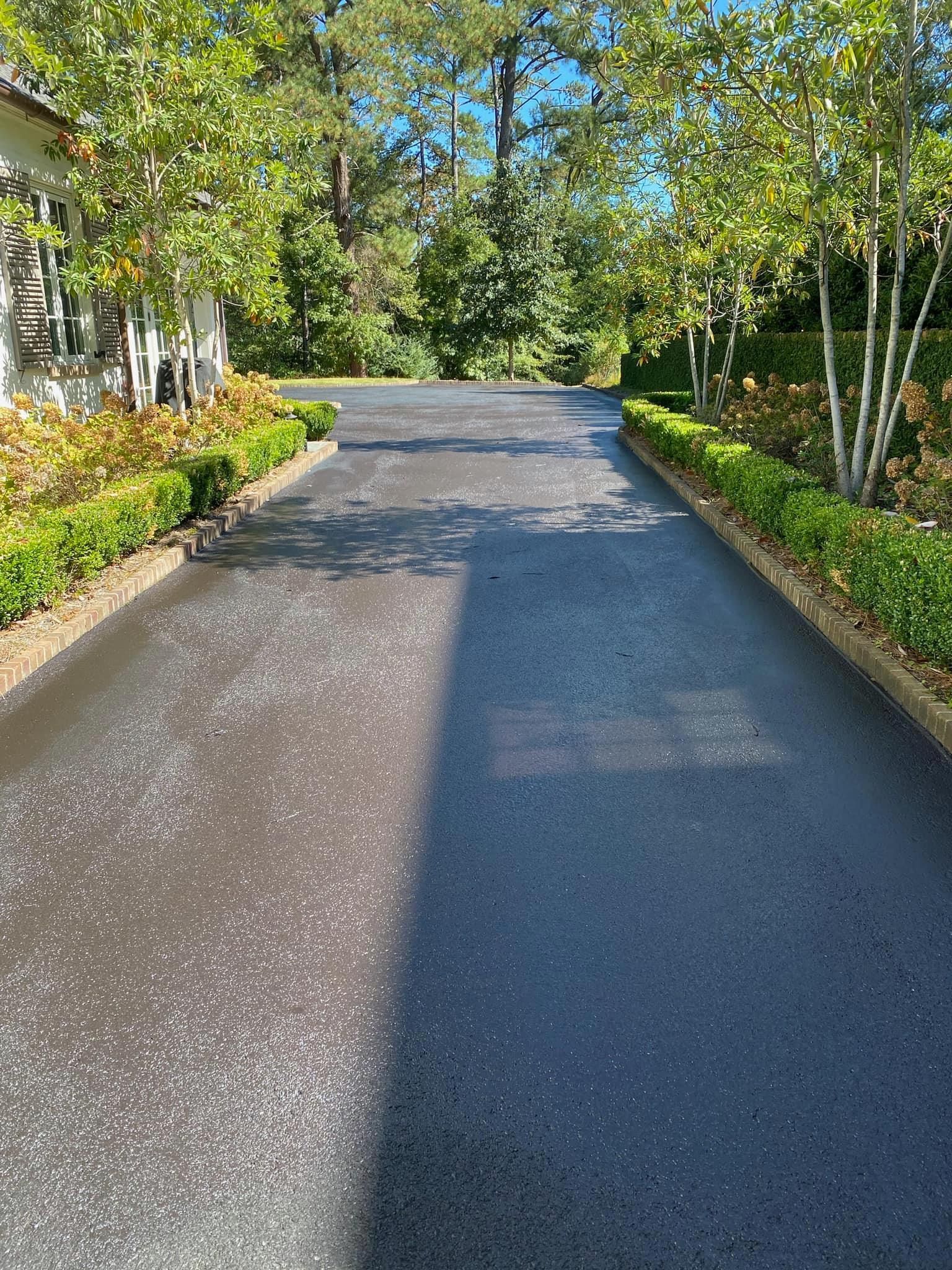 A paved driveway flanked by manicured green hedges and birch trees under a clear blue sky.