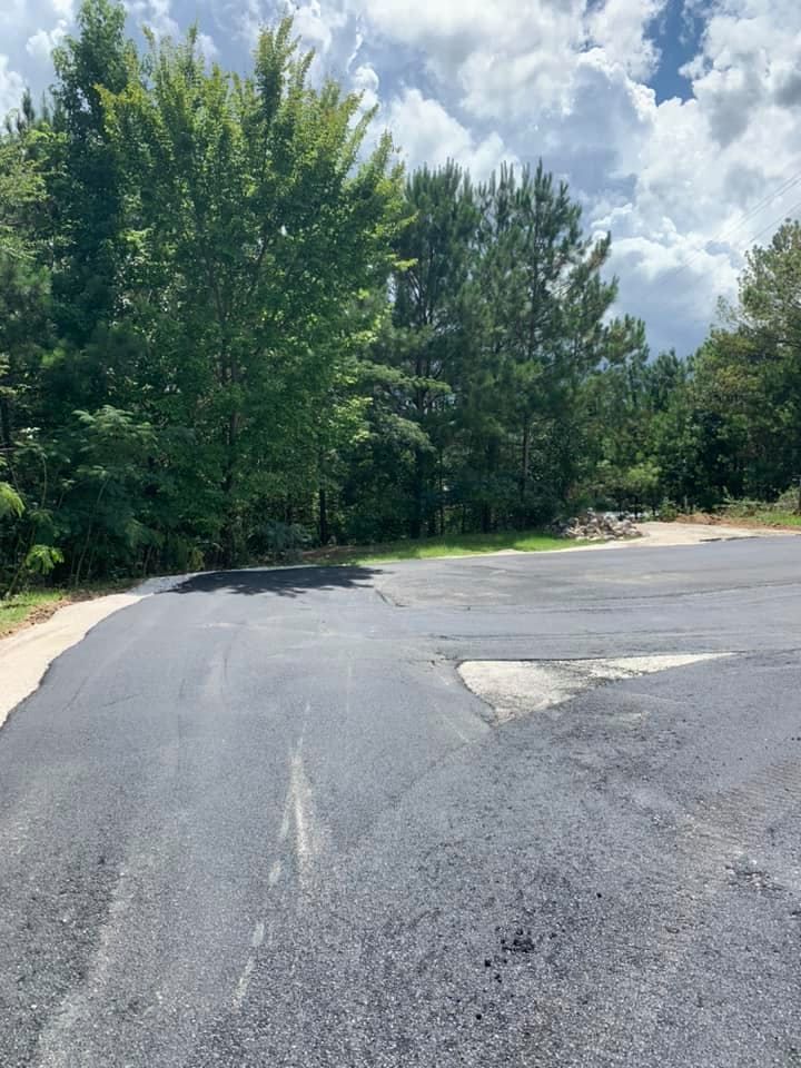 A paved driveway or parking area leads toward a dense line of trees under a bright, cloudy sky.