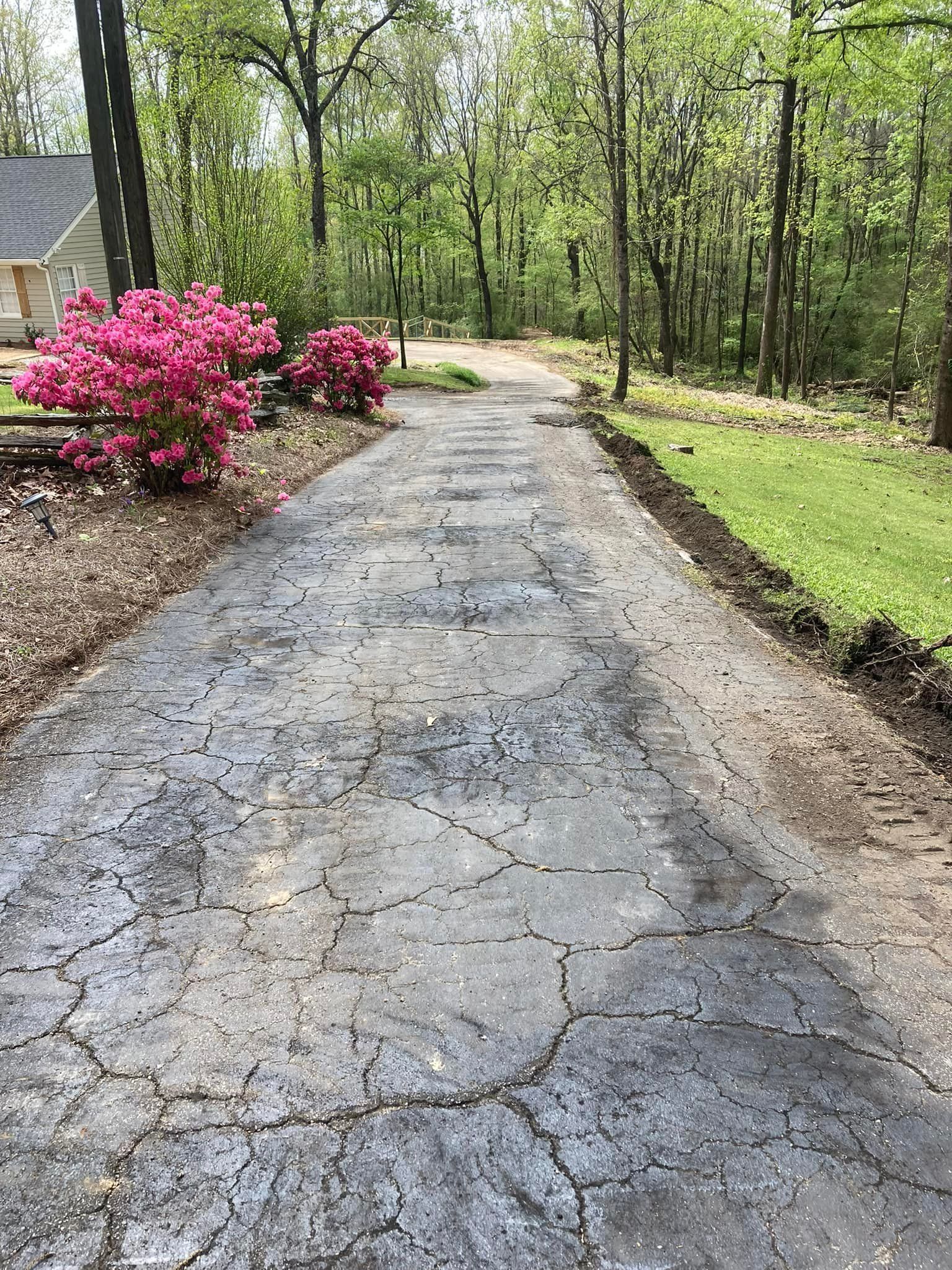 A cracked, weathered asphalt driveway leads through a wooded area with vibrant pink bushes on the left
