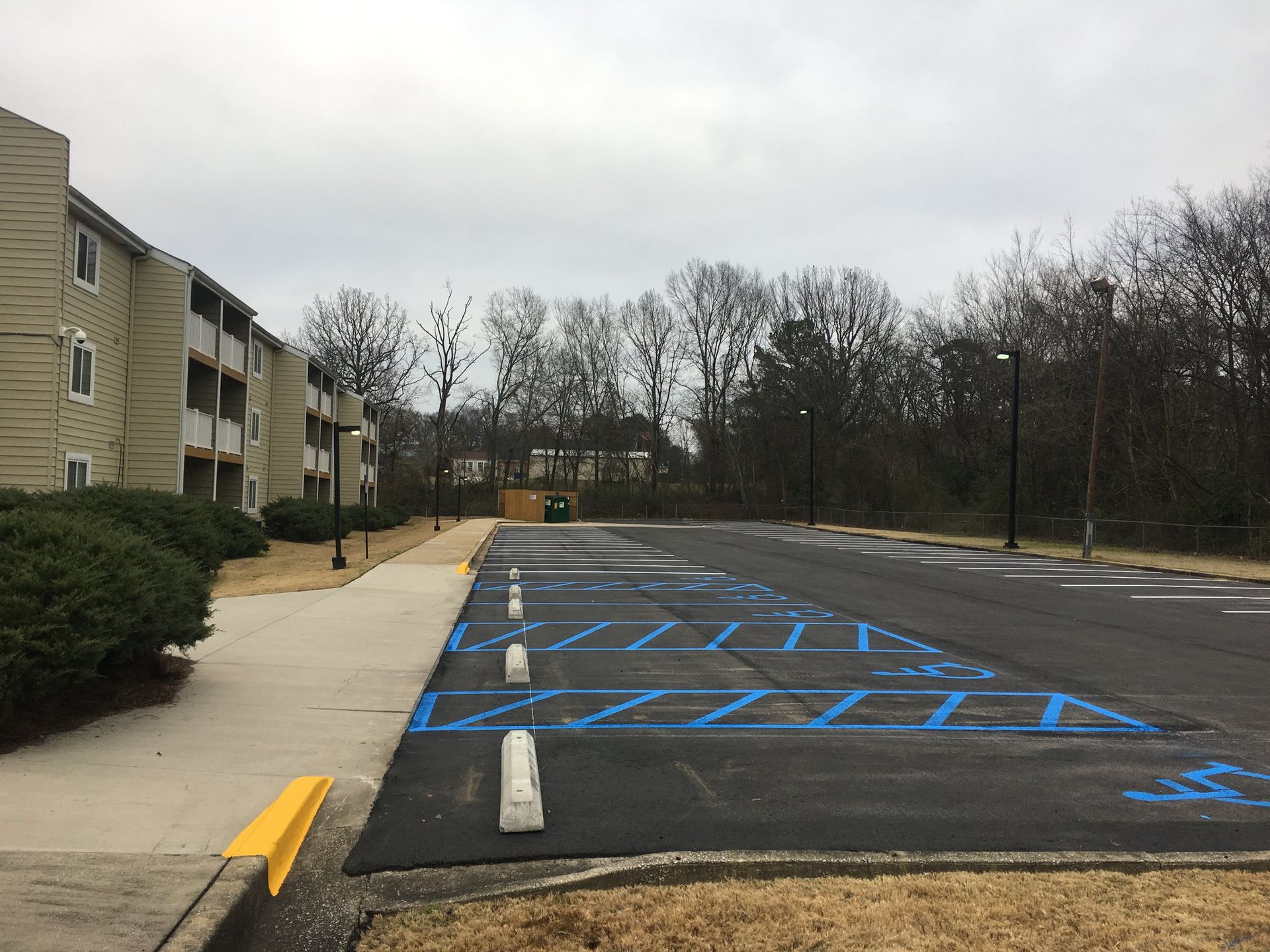 An outdoor apartment parking lot with several blue-painted accessible parking spaces beside a concrete sidewalk.