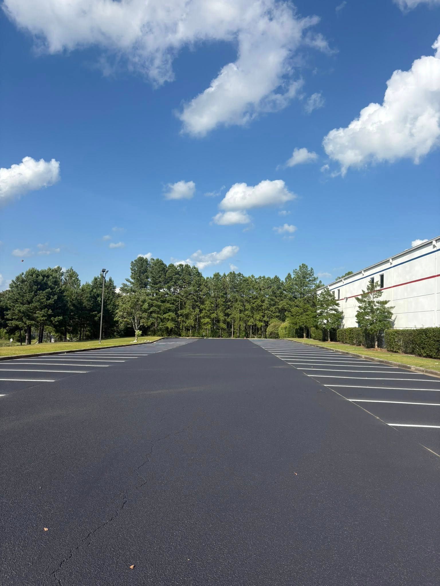 Empty parking spots marked with white lines in a paved parking lot bordered by small green bushes.