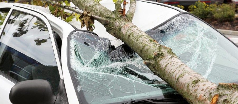 Windshield repair in Mesa, AZ.