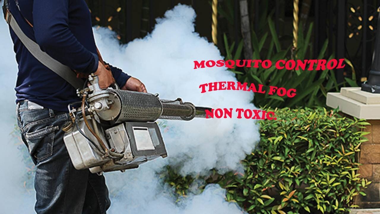 Pest Control & Termite Inspections Cairns Cairns Pest Control