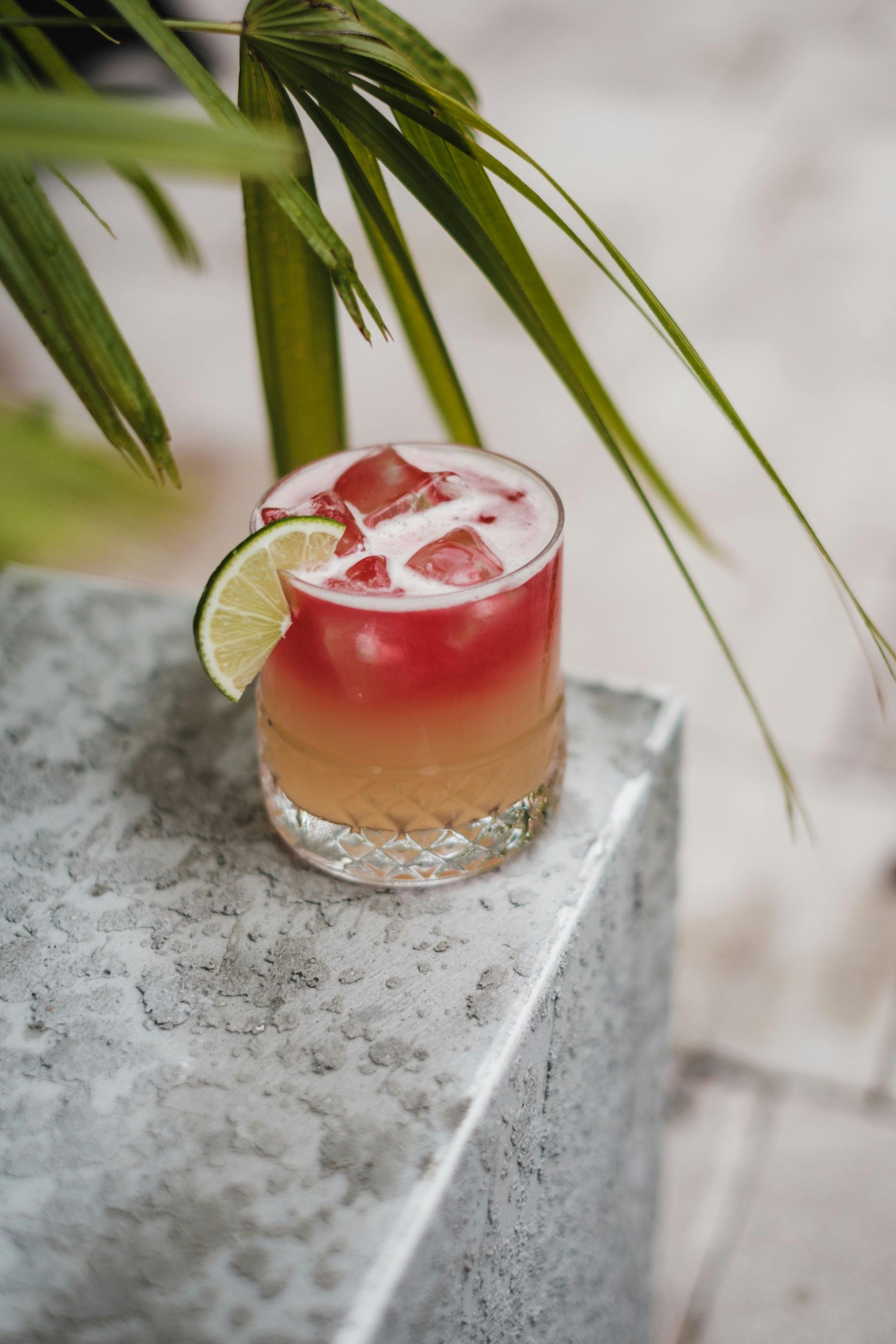 A close up of a drink on a table with a palm tree in the background.