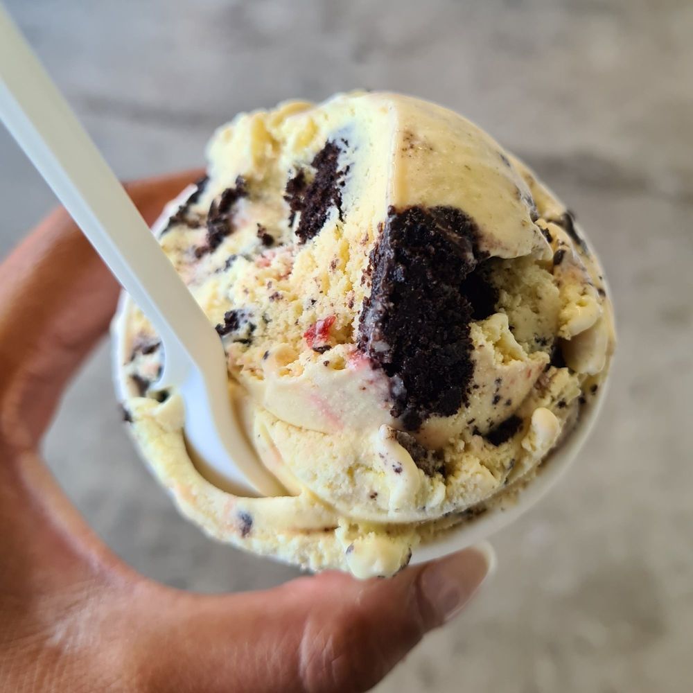 Scoop of cookies and cream ice cream in a white cup, held with a spoon.