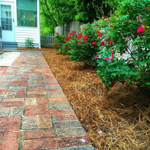 Brick walkway beside a white house, bordered by mulch and blooming red and pink shrubs.